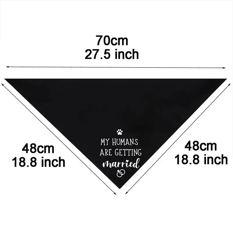 Bandana Happy Dog avec motifs de chats de PetZeal - accessoire élégant pour animaux de compagnie en noir et blanc