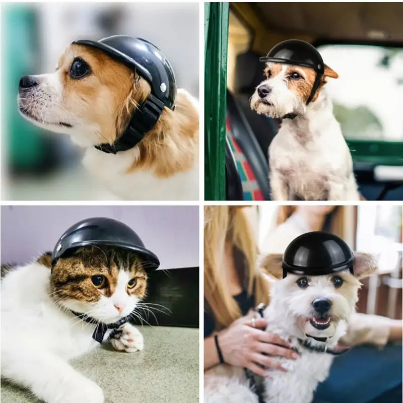 Un chien portant un casque de moto pour animaux - Collection de casques de moto pour animaux