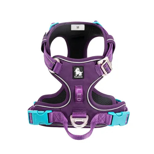 Harnais Truelove Country Plus : Harnais violet et bleu avec collier blanc pour les amoureux des animaux