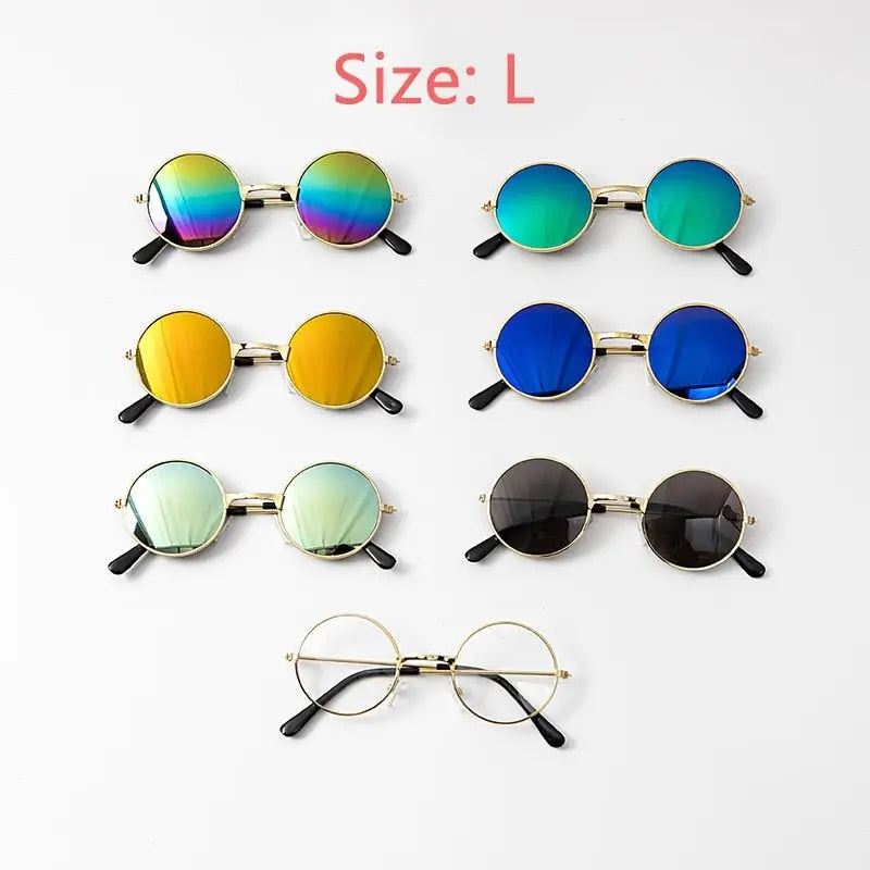 Lunettes de soleil pour chiens : Accessoires SFP avec 5 paires de couleurs différentes