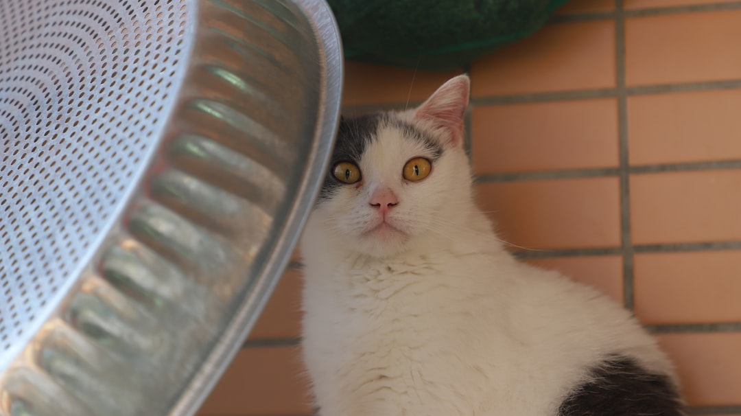 O gato comeu te a lingua gaia Sob uma Perspectiva Científica