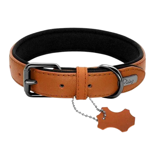 Collier En Cuir Pour Chien Transparent Background