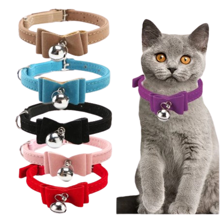 Collier nœud papillon pour chat Transparent Background