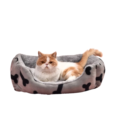 Petit panier en velour pour chat et chien Transparent Background