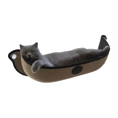 Hamac Pour Chat: Un Lit Douillet Avec Vue Panoramique Pour Félin - Beige Transparent Background