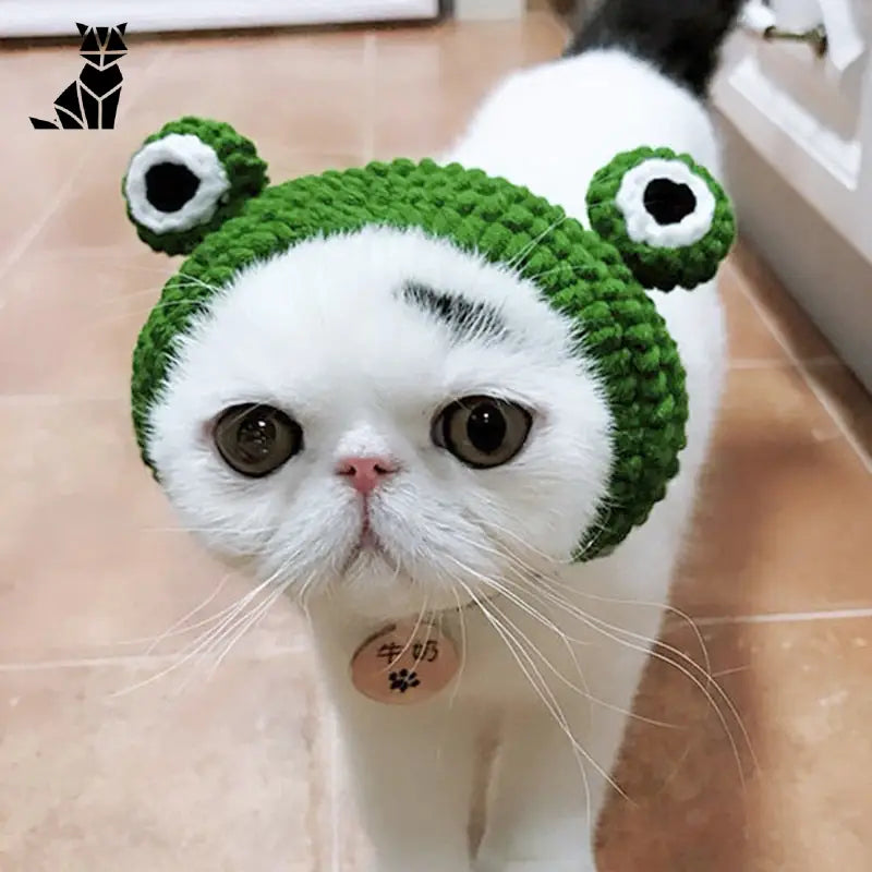 Bonnet pour Chat Tricot Petit Monstre