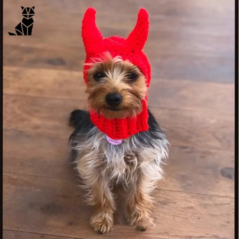 Bonnet pour Chien Diable au Crochet