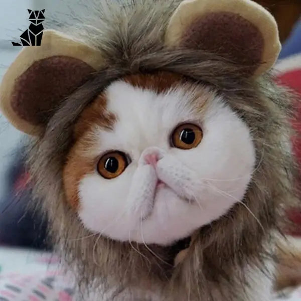 Bonnet pour Chat Cosplay Lion