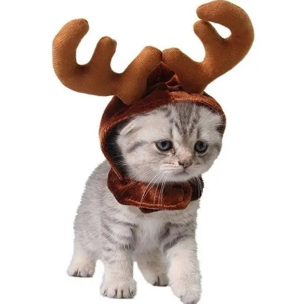 Bonnet pour Chat Renne de Noël