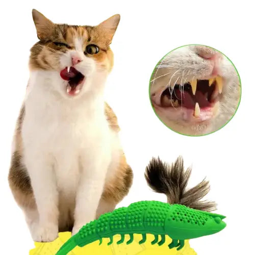 Brosse à dents pour chat | Denticat™ Transparent Background