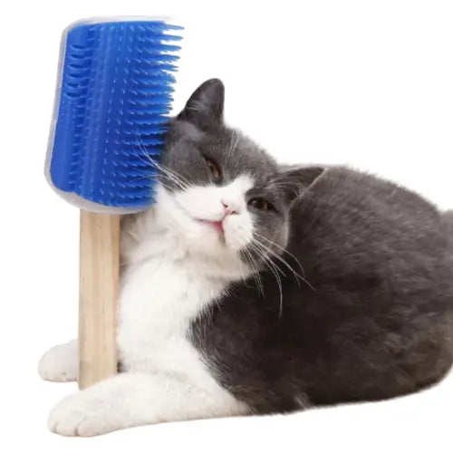 Brosse de massage à fixer pour chat Transparent Background