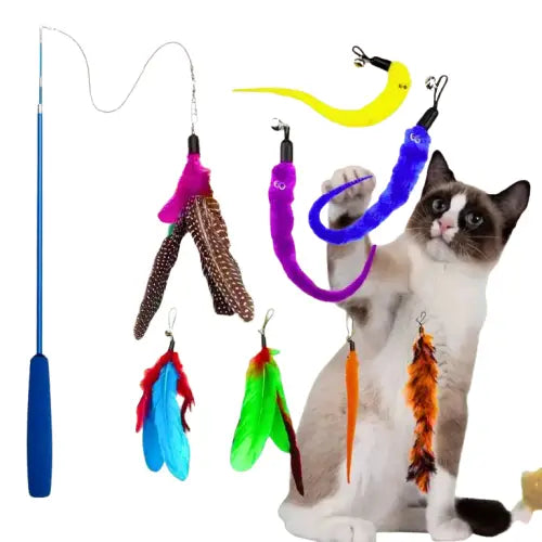 La canne magique pour chat ❘ Magicanne™ Transparent Background