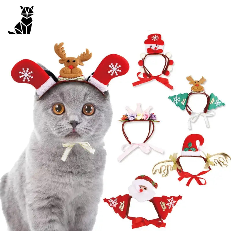 Chapeau pour Chat Fêtes de Noël