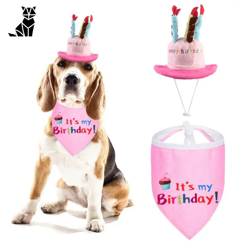 Chapeau pour Chien Anniversaire en Folie