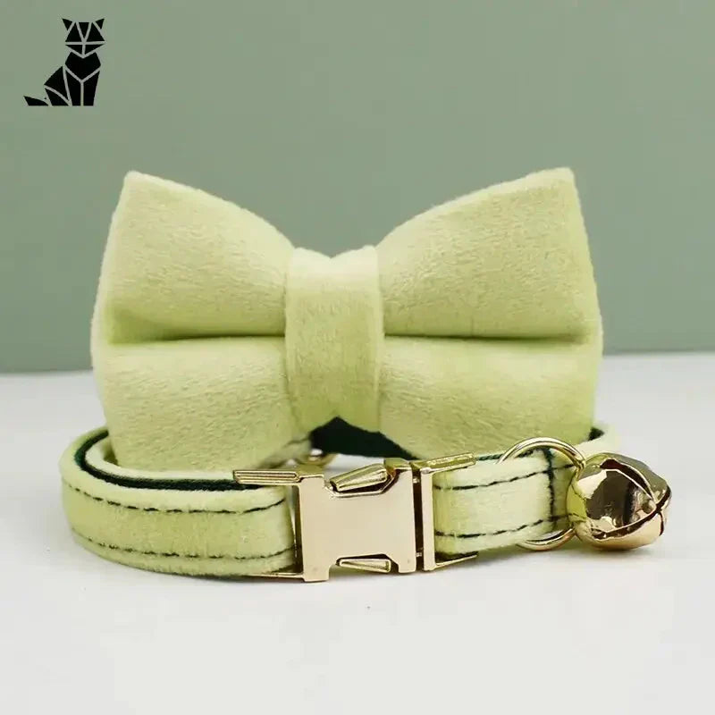 Collier pour chat en velours doux : Nœud papillon vert avec boucle dorée, style personnalisé et texture velours