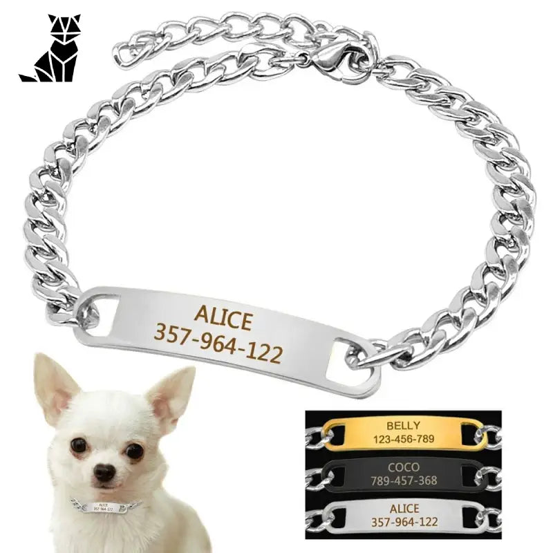 Collier personnalisé pour petit chien - collier chat personnalisé