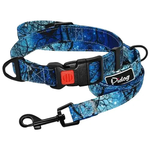 Collier Chien Fashion Avec Laisse Transparent Background