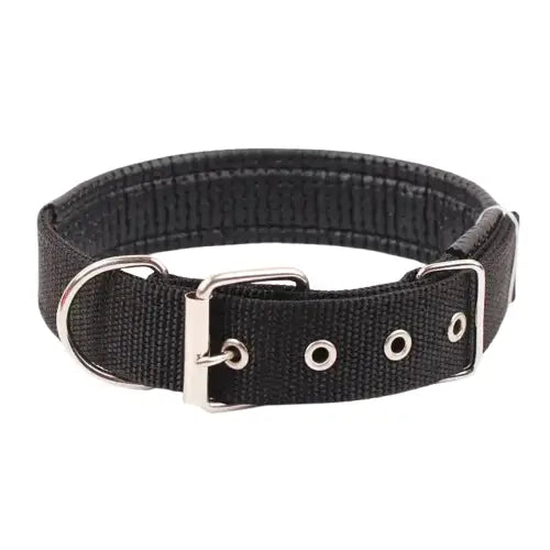 Collier pour Bulldog Anglais Transparent Background