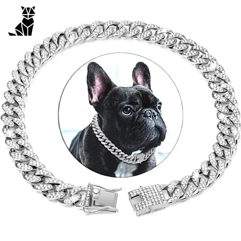 Chien portant une chaîne cubaine ornée, élégant et étincelant collier cubain orné de diamants