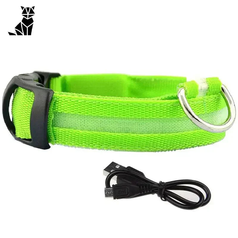 Collier pour chien vert luminescent avec anneau et cordon en métal noir - collier lumineux