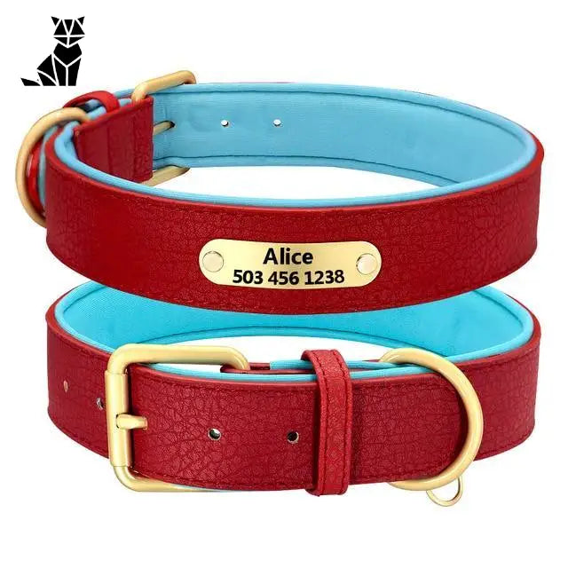 Collier Pour Chien En Cuir Personnalisable