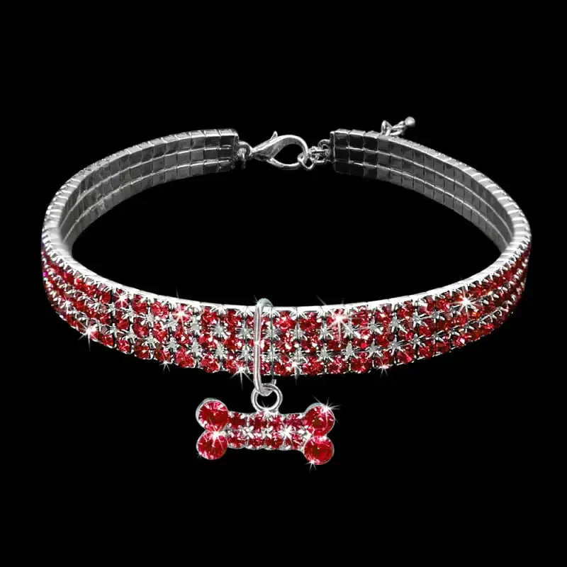 Collier pour Bichon Maltais