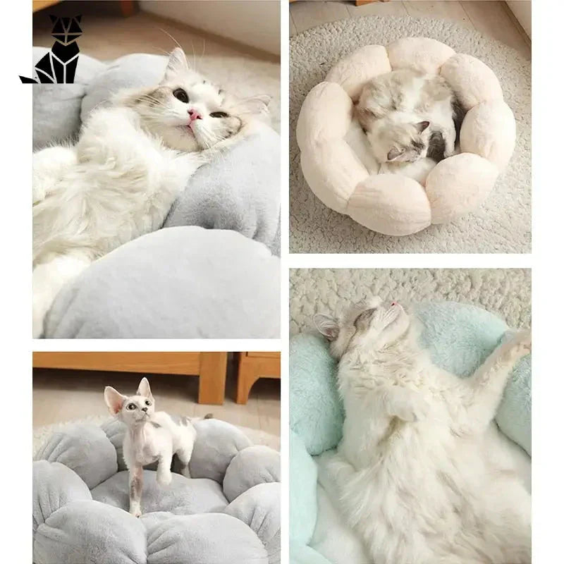 Coussin à fleurs super doux et lavable pour chats représentant un chat couché sur un lit