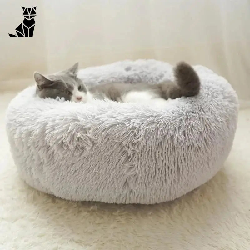 Coussin pour chat ❘ NuageCats™