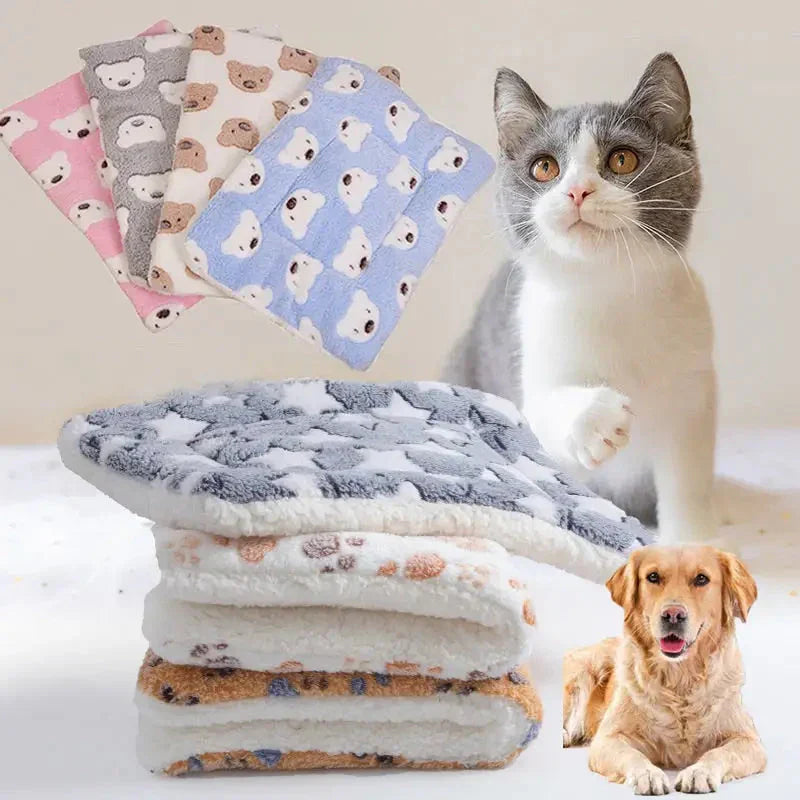 Chat et chien sur une couverture en flanelle douce pour un confort et une chaleur optimaux