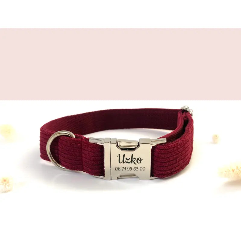 Kit Complet Chien Personnalisé Velours Côtelé Bordeaux