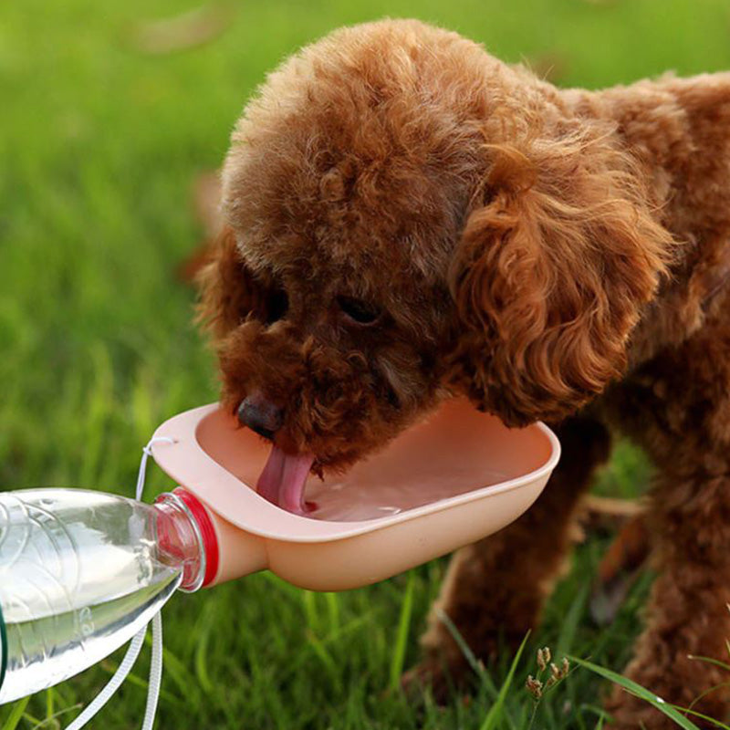 Gamelle d’eau portative pour chien et chat