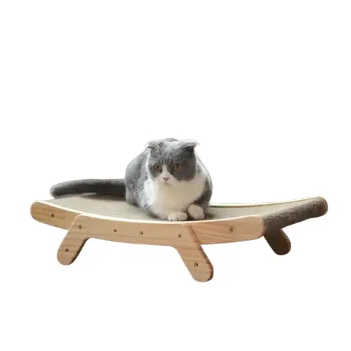 Griffoir chat carton | ScratchyParadise™ Transparent Background