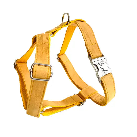 Harnais Chien Personnalisé Coton Jaune Transparent Background