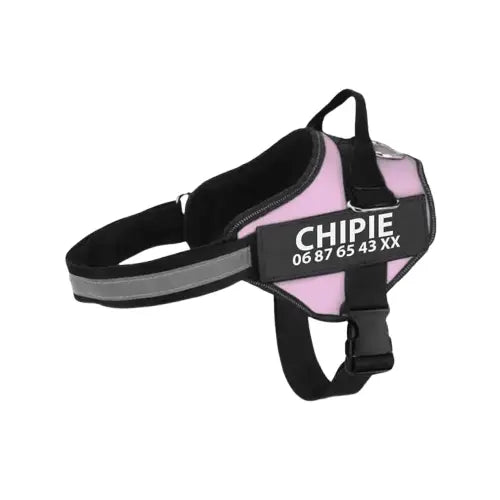 Harnais pour chien anti - traction personnalisable Transparent Background