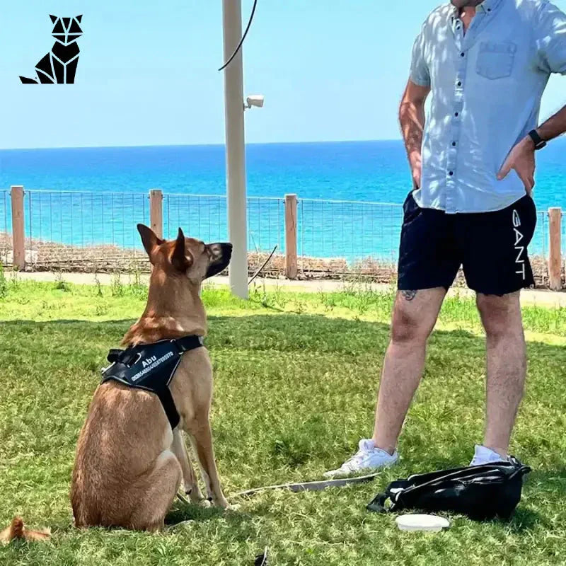 Harnais pour chien personnalisé : Homme debout avec chien en laisse pour chien personnalisé