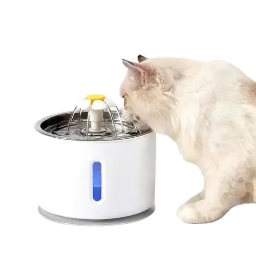 Chat hydraté avec fontaine à eau HydraCat - Fraîcheur et santé pour votre félin Transparent Background