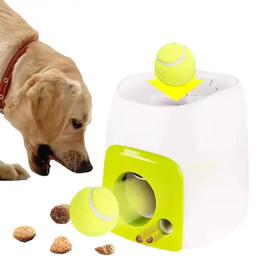 Chien profitant d’un jouet interactif avec une balle de tennis et un distributeur de friandises Transparent Background