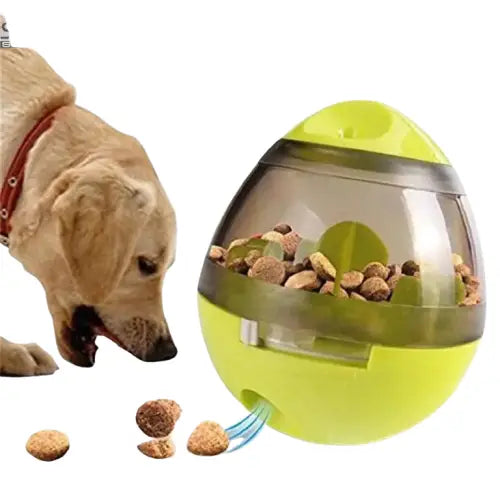 Jouet interactif de récompense pour chiens - stimule l’intelligence avec une balle de nourriture que le chien renifle Transparent Background