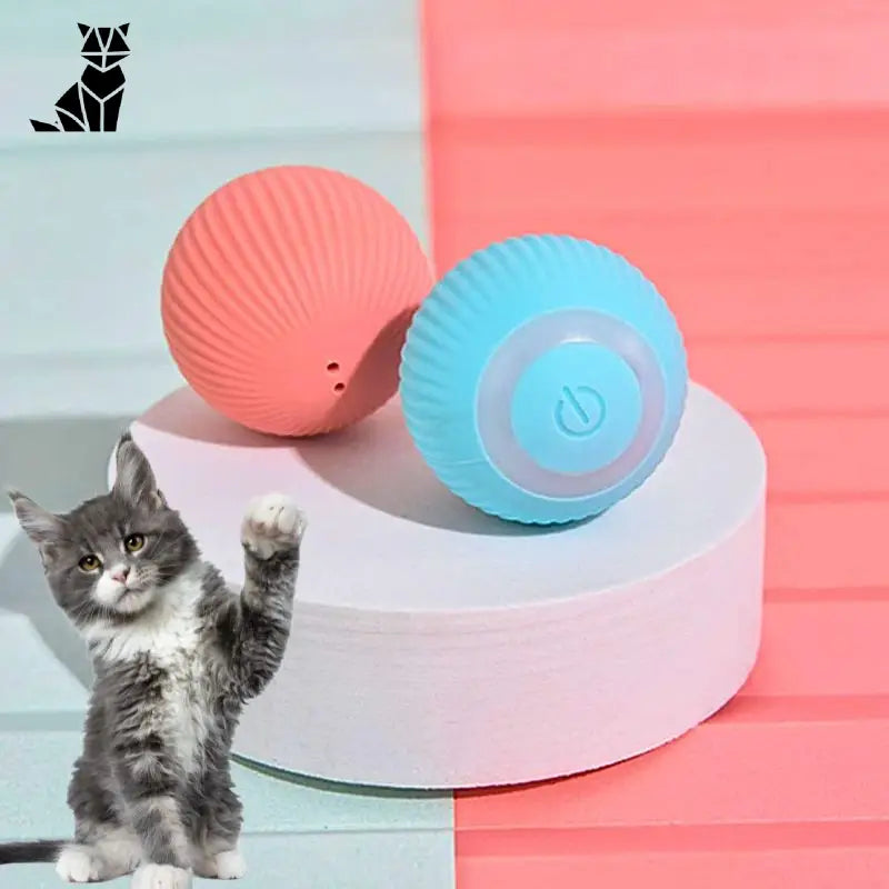 La balle magic pour chat | MagicBall™