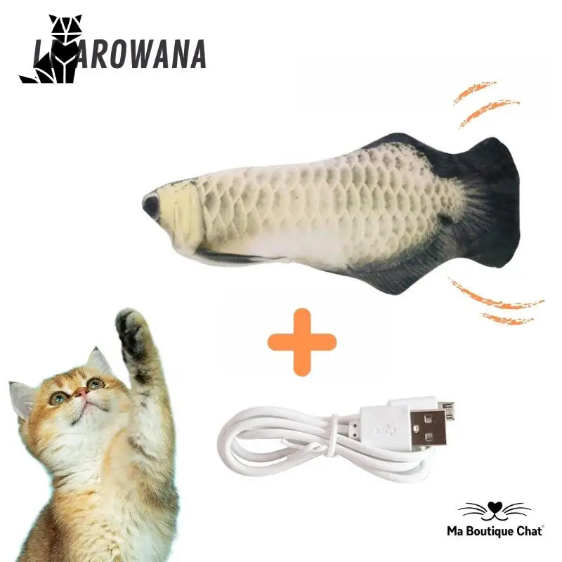 Poisson pour chat | CatsFish™