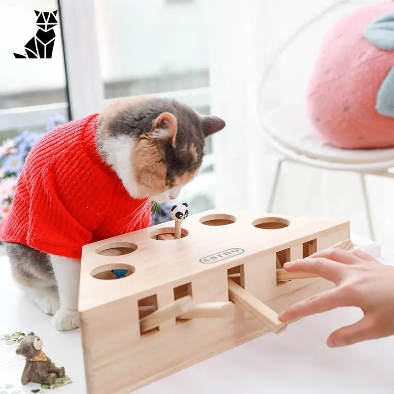 Chat en pull douillet jouant avec une souris interactive en bois, jouet pour chat