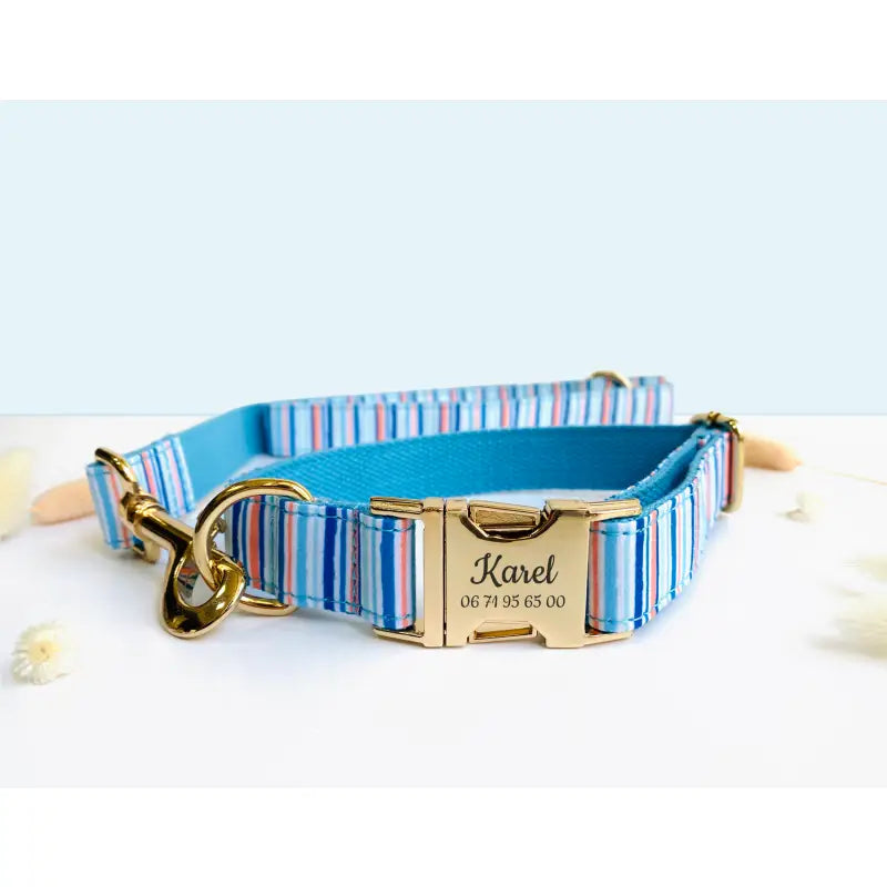 Kit Complet Chien Personnalisé Coton Rayé Bleu Ciel