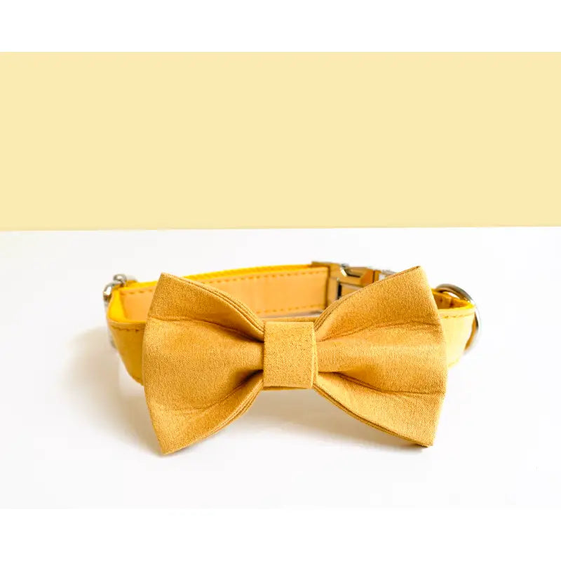 Kit Complet Chien Personnalisé Coton Jaune