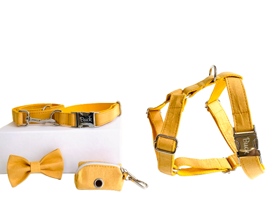 Kit Complet Chien Personnalisé Coton Jaune Transparent Background