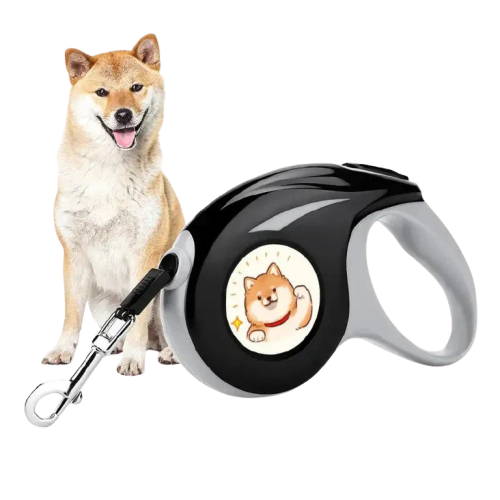 Chien sur une laisse automatique rétractable personnalisée avec collier Transparent Background