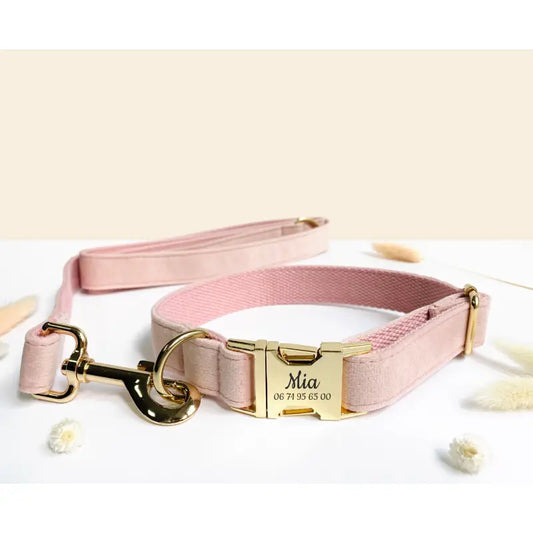 Laisse pour Chien Velours Lisse Rose