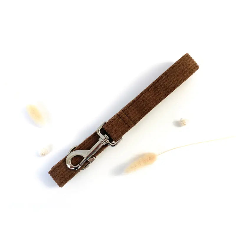 Laisse Velours Côtelé Chocolat