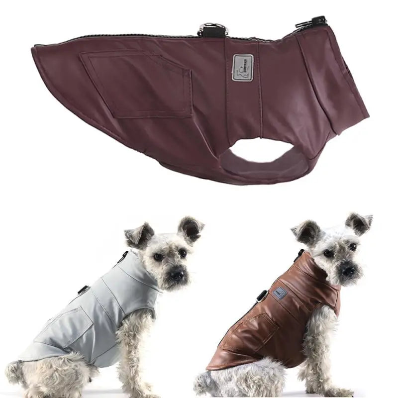 Manteau Harnais En Cuir Imperméable Pour Chien