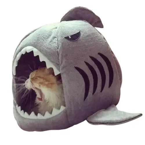 Panier Requin Pour Chat Dur à Cuire: Un Lit D’aventure! Transparent Background