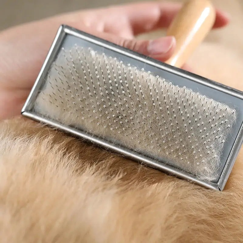 Peigne pour chien en acier inoxydable avec manche en métal : Enlève facilement les poils longs